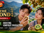 The Bond Season 6 explores new approaches to boosting kiwifruit production The Bond Season 6 explores new approaches to boosting kiwifruit production