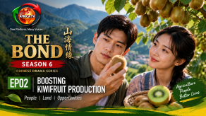The Bond Season 6 explores new approaches to boosting kiwifruit production The Bond Season 6 explores new approaches to boosting kiwifruit production