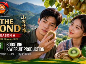 The Bond Season 6 explores new approaches to boosting kiwifruit production The Bond Season 6 explores new approaches to boosting kiwifruit production